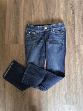 American Eagle Outfitters Dark Blue Skinny Jeans